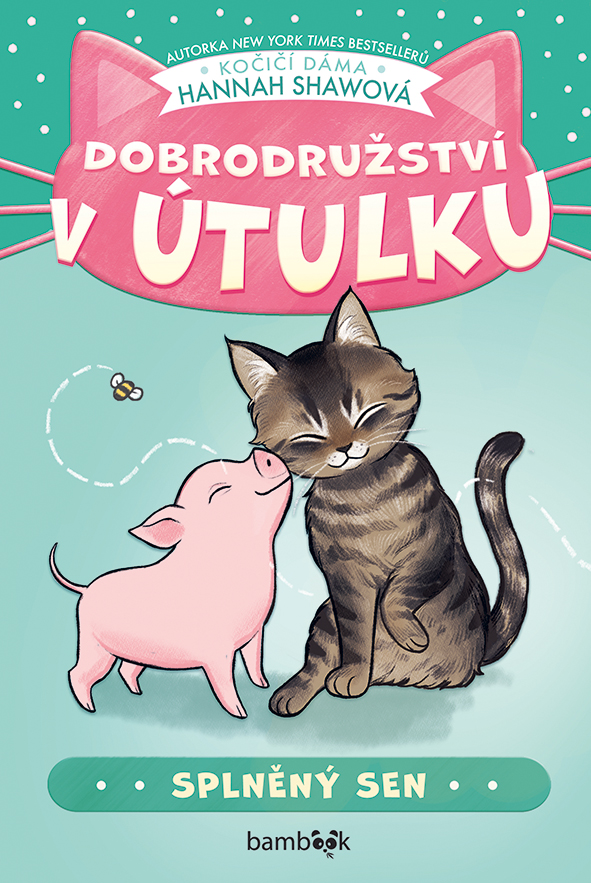 Dobrodružství v útulku – Splněný sen
