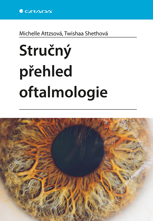 Stručný přehled oftalmologie