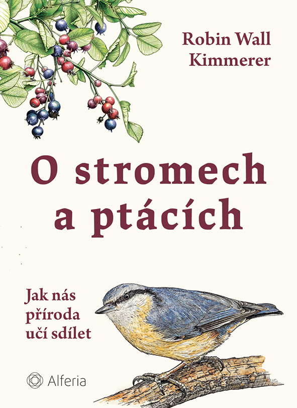 O stromech a ptácích
