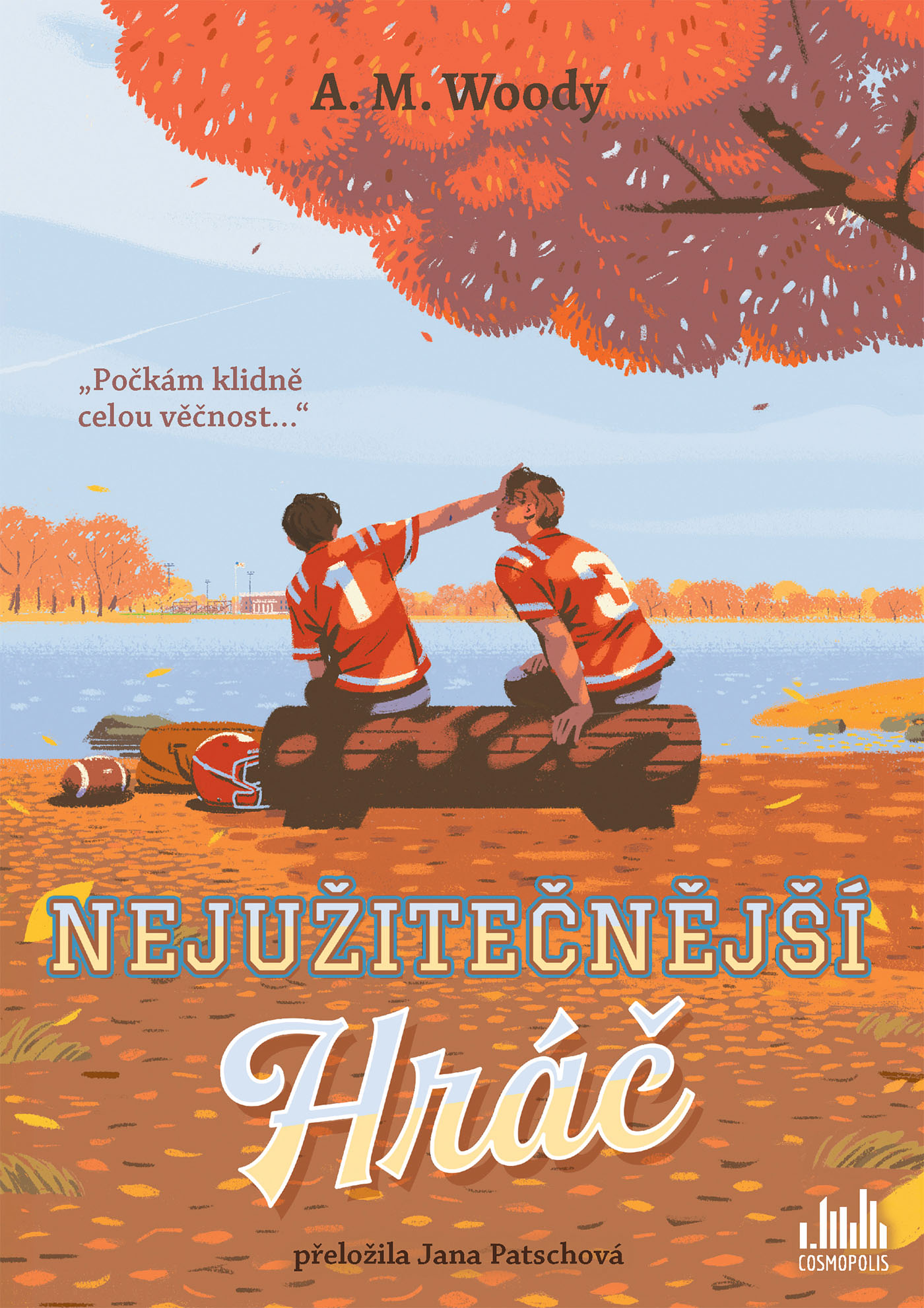 Nejužitečnější hráč