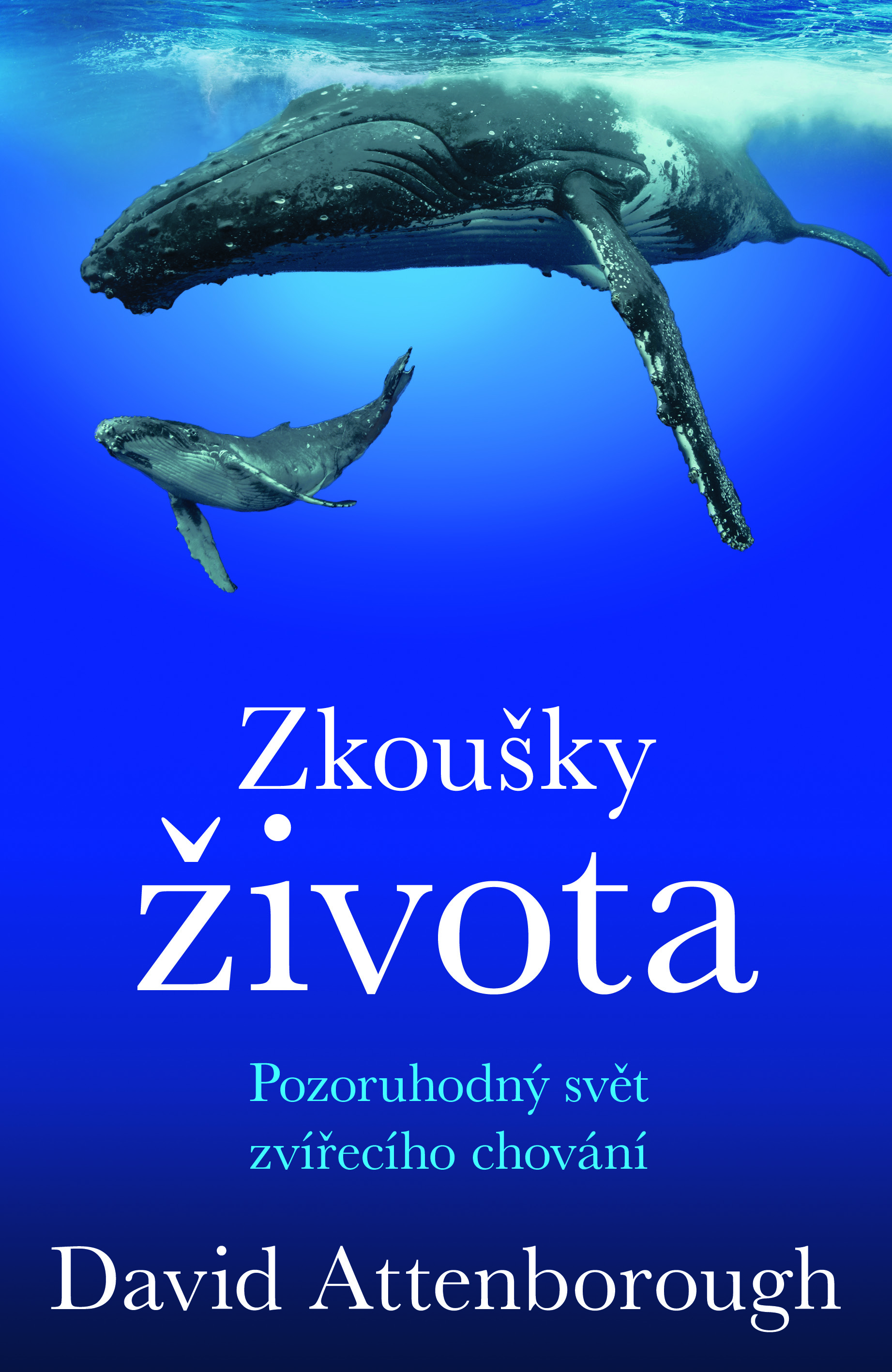 Zkoušky života